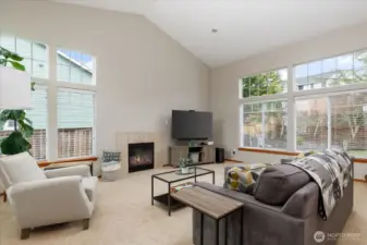 Spacious living room with lots of light.