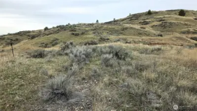 Northern Hillside & Usable Terrain. Perfect slopes for recreation or creative landscaping. Build your dream place with power at the street. Fantastic 360 views between Tonasket and Oroville.