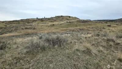 Center of the property looking North