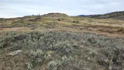 RECREATIONAL PARADISE! A great property to play at with fantastic views all around. Level areas for shops or toys. Okanogan County gem.