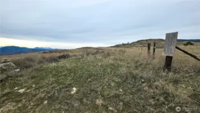 Looking up the SE property line north from the SE corner of the property.