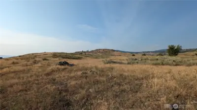 Summertime looking North from southern area of property.