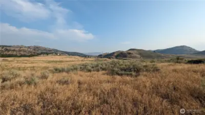 Looking SE in the late summer.