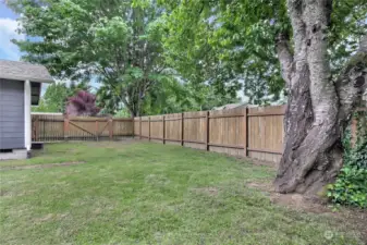 Large Fenced Yard