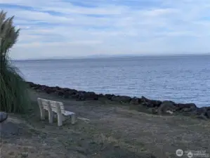 Sit and whale watch on the bay