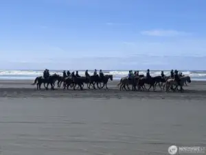 Go horseback riding on the beach