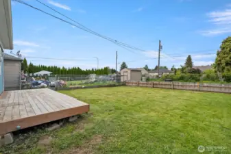Back Yard