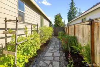 Garden area