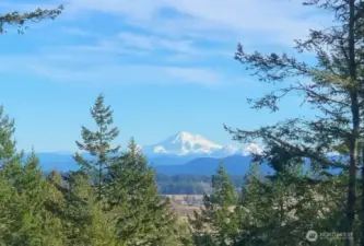 Well Hello Mt Baker!