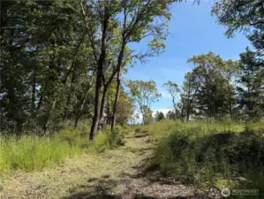 Path to potential second building site