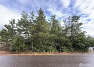 Bay front lot ready for your vision!
