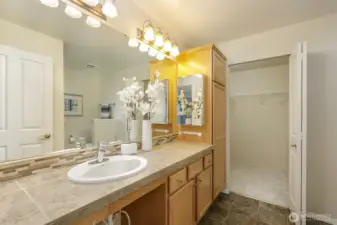 Large primary bath with walk-in closet.