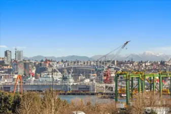 Elliott Bay and Harbor Views
