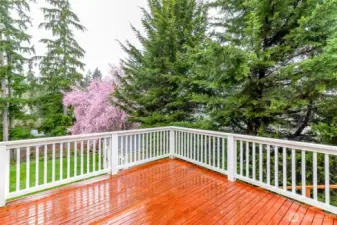Deck off dining room on main level