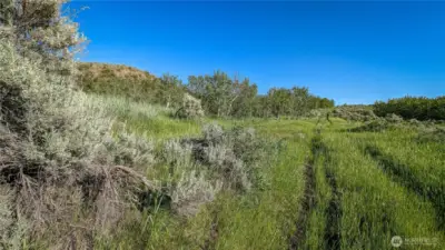 A view from the north end looking south. This parcel offers a unique mix of topography, including the elevated hillside on the left. Whether you're looking for a natural windbreak or a high-point building site, this land has character and depth.