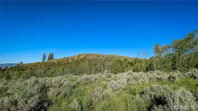Versatility at its best. In addition to the southern flats, the center of the property offers this level clearing with views in every direction.. Ideal for a secondary cabin or a primary residence positioned to capture early light. Plenty of usable acreage here.