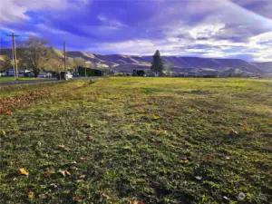 Big panaromic views of Horse Heaven Hills.