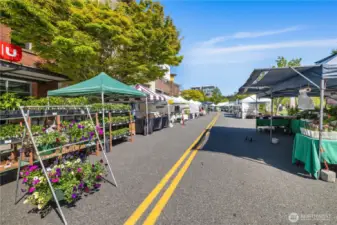 Farmer's Market