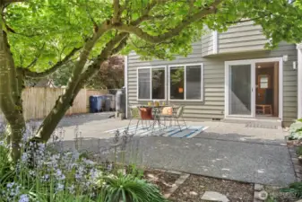 A view towards the home from the rear yard.