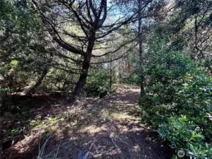Adjoining lot, accessible via trail along the back of the property