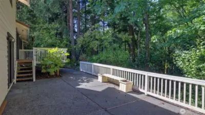 Enjoy the serenity of nature from this oversized back patio.