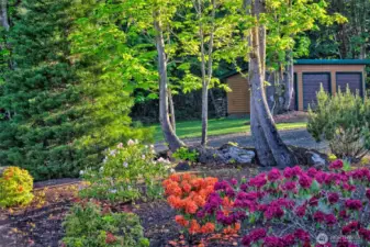 Colorful flora and fauna
