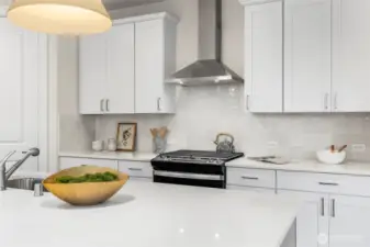 Similar Home & Floor Plan. Colors, Specs & Upgrades May Vary.