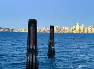 Walk down Ferry Avenue to enjoy the waterfront