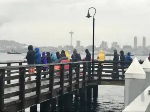 The marina is minutes away offering a water taxi to downtown Seattle