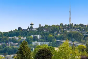 Glimpse the Space Needle rising from lush greenery—Wallingford's elevated charm is on display.