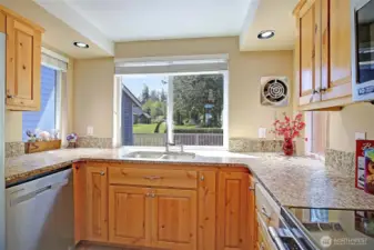 Doing Dishes Is A Pleasure