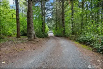 Your own private drive leading to peace and quiet.