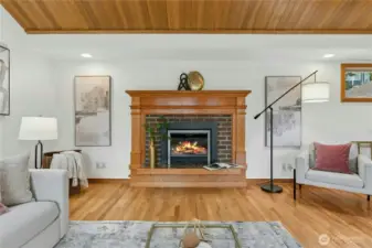 Cozy propane freplace