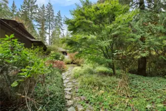 Meandering paths through mature gardens