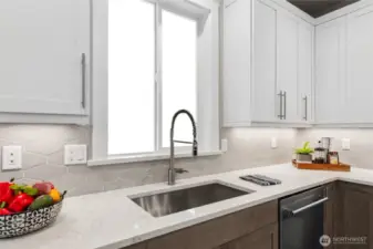 Quartz counters. Photos are for representational purposes only.  Colors and options may vary.