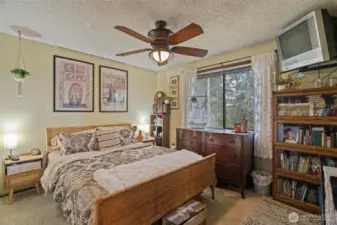 Large bedroom at the end of the hall, will easily hold a king-sized bed (shown here with a queen) and has full sized closet.
