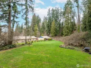 Looking down the back yard from the house. The septic drain field is in this yard.