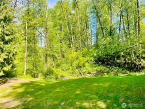 This entire area of trees gets so green and full that you cannot see through to the houses on top of the hill. The hill behind this tree line is steep and unutilized, giving this property a greenbelt with the feeling of much more land than it actually is.
