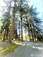 Looking from the large parking area towards the circular cul-de-sac driveway.