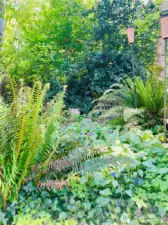 The natural landscaping can be left wildly beautiful or reigned in for a more manicured look- it's your choice!