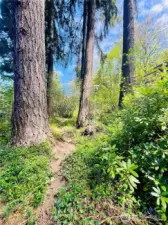 Large trees and paths that meander through invite you outside to enjoy the nature at your fingertips!