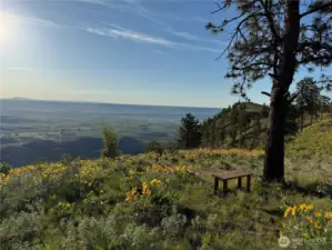 Peaceful retreat at the edge of your property, surrounded by wild land parcels.