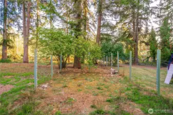 This is opposite of the fenced enclosure and is also fully fenced