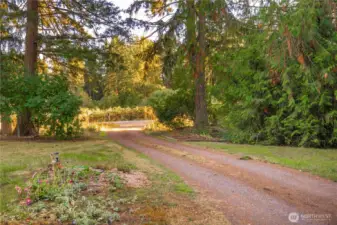 The driveway