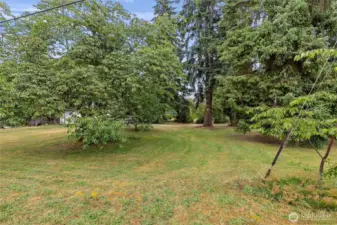 Huge lot with mature landscaping and fruit trees