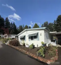 Tree has been removed