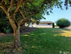 Side view of back yard and home