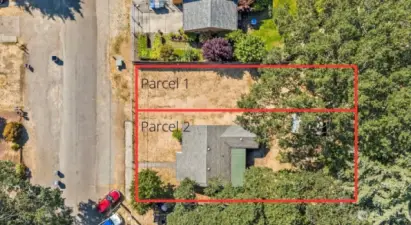 25' x 100' & 50' X 100' RED LINES ARE ESTIMATED