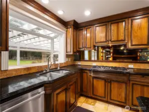 backyard view from kitchen window