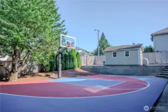 Quality sports court and garden shed